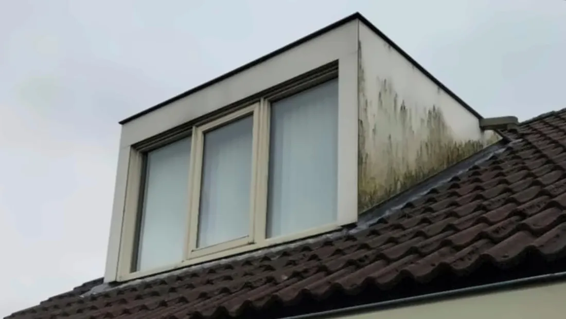 Dakkapel voorzijde met groene aanslag, voor