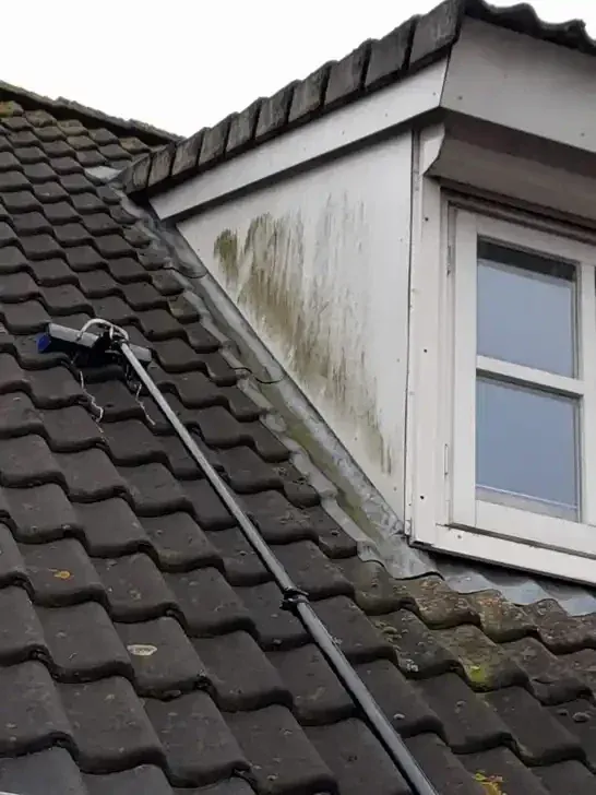 Zijwang van een dakkapel met groene strepen, voor
