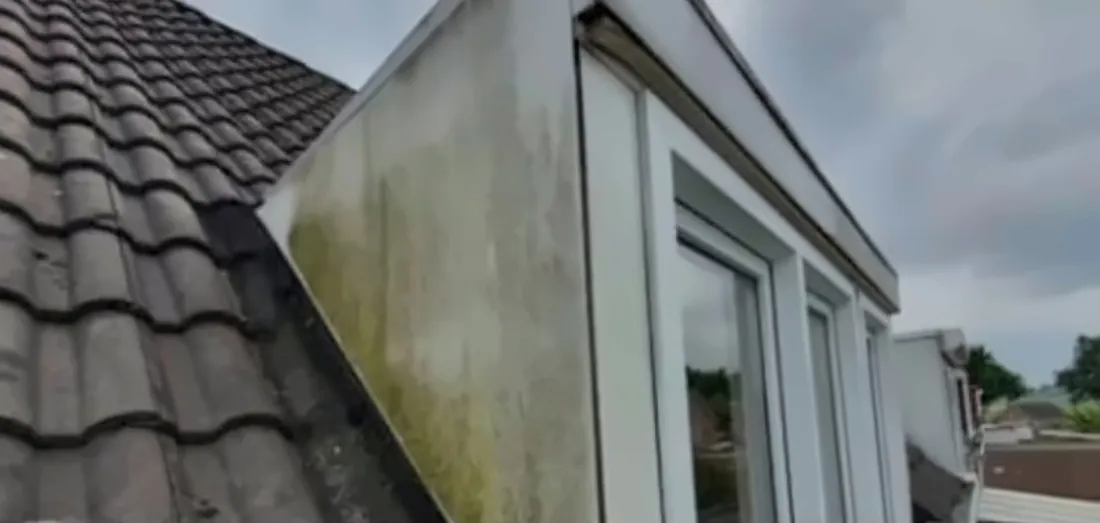 Zijwang naast het dak met groene aanslag, voor