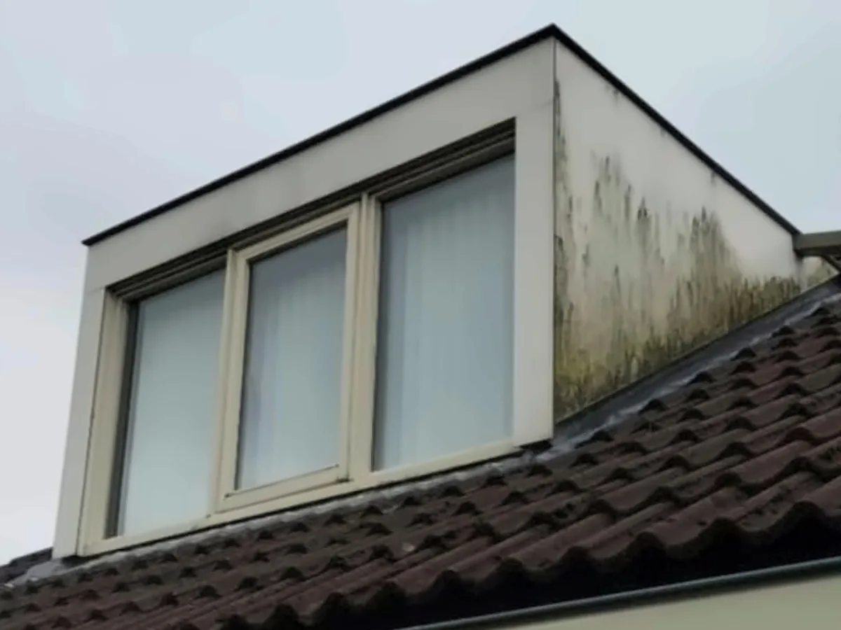 Dakkapel met groene aanslag op de zijwang, voor de reiniging